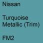 Preview: Nissan, Turquoise Metallic (Trim), FM2.